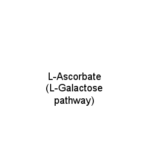 L-Ascorbate (L-Galactose pathway)